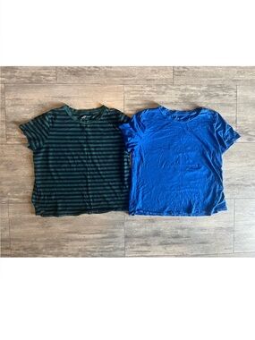 GAP Organic Cotton T Shirts, Set Of 2, Womens L, Striped Blue Green, Royal Solid